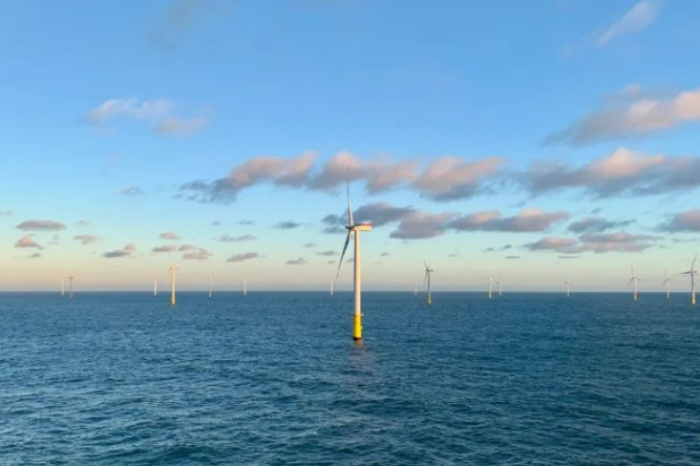 我與三峽國(guó)際共成長(zhǎng)